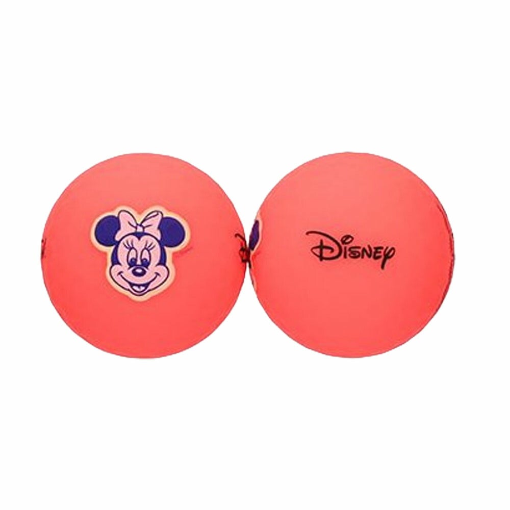 ボルビックDISNEYLONG2.0(MINNIE)ゴルフボール4球入りマーカー付きVV5UNA08【25FW】