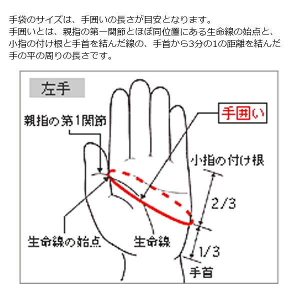 【あす楽】ミズノメンズMIZUNOムソウゴルフグローブ左手用5MJML151【21】左手装着用