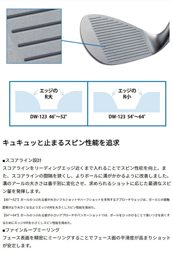 キャスコメンズドルフィンウェッジDW-123クロムメッキ仕上げNSPRO950GHneoスチールシャフト【23】