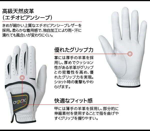 ダンロップメンズゼクシオ羊革ゴルフグローブ右手用GGG-X019R右手装着用【23】