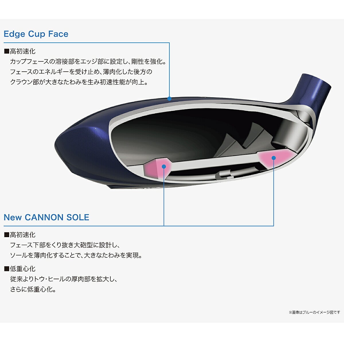 【限定カラー】ダンロップレディースXXIO14ゼクシオフォーティーンフェアウェイウッドMP1400LカーボンシャフトTEALMINTティールミント【26SS】