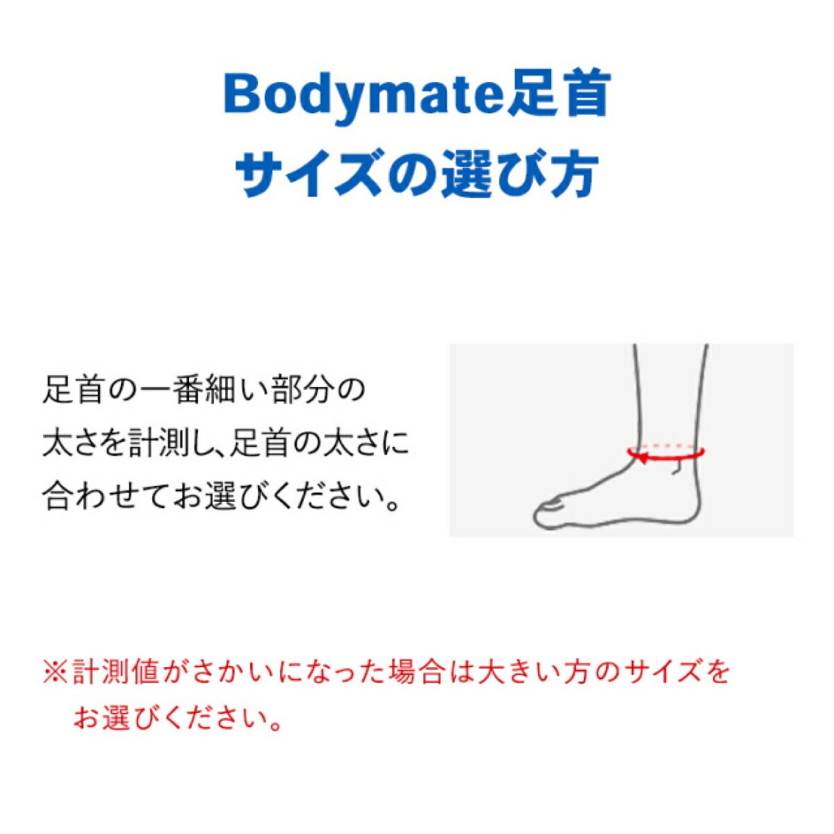 ザムストZAMSTBODYMATE足首用左右兼用1枚入りサポーター【26FW】